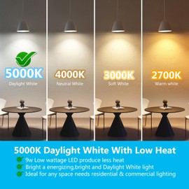 DAYBETTER 12Pack BR30 LED Light Bulbs Indoor Flood Light 65W Equivalent, Daylight White 5000K, Dimmable Recessed Light Bulb for Bedroom Kitchen Living Areas, 800 Lumens E26 Base