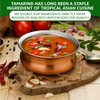 Premium Tamarind Concentrate (1) | Endorsed By Pro Chefs |