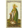 +Holy Card~"Irish Blessing Prayer" *Prayer on Back (HC24-S2)