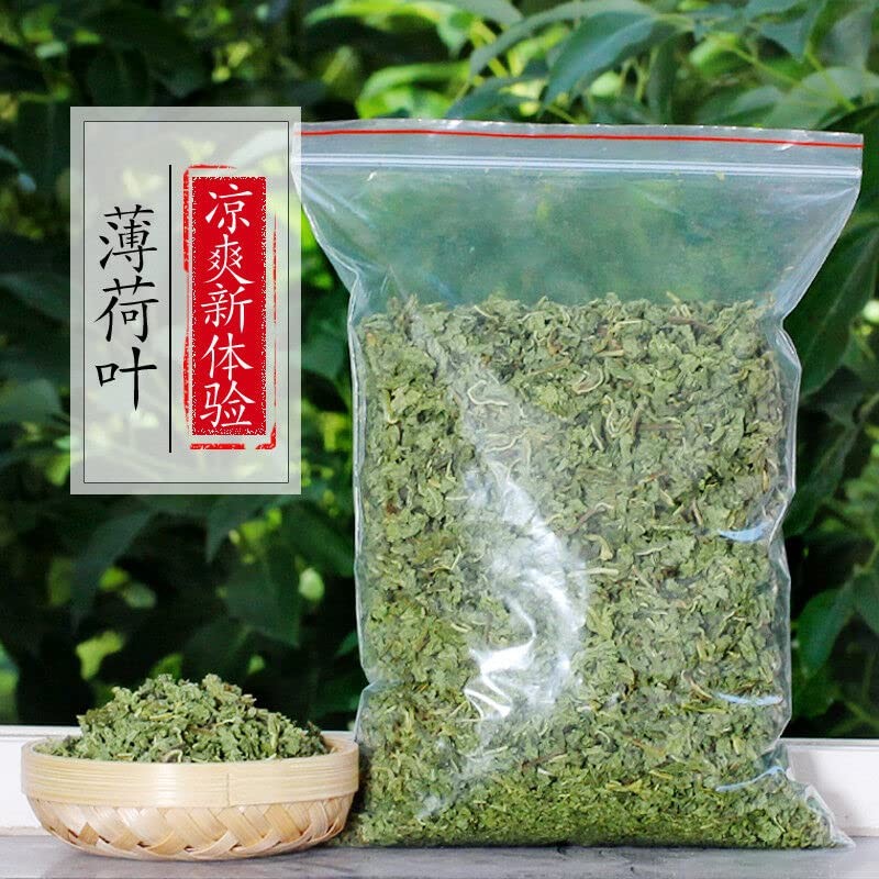 Ecology Dried Mint Tea Peppermint Leaf Herbal Tea Pennyroyal Tea