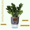 Vanavazon 6 Inch Self Watering Planter Pots for Indoor Plants,