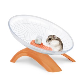 Reshiho Hamster Wheel Silent Hamster Exercise Wheel Running Spinner Hamster Flying Saucer for Hamsters Gerbils Mice and Other Small Pets (Orange)