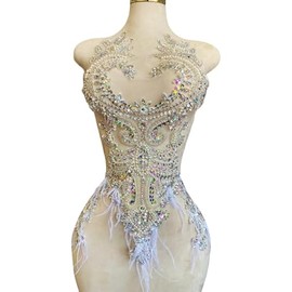 Handsewing Beads Trim Patches Rhinestones Bodice Applique with Ostrich Fur Decoration Shining Dress Clothing Accessories 14X25in (Clear AB)