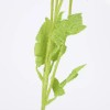 generic Miniflor De Amapola De Una Sola Rama Para Plantar