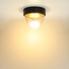 Licht-Erlebnisse Ceiling Light Plastic in Black Gold IP44 Bathroom Living