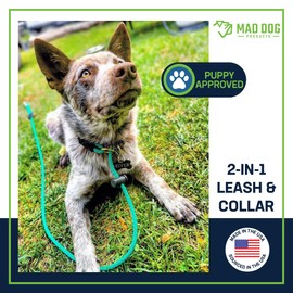 Mad Dog Products 1/4" x 8' Aqua English Slip Lead Solid Braid Dog Leash