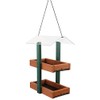 Audubon Going Green Double Platform Bird Feeder, Green/Brown