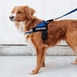 EZYDOG Express Dog Harness | Dog Harness for Small, Medium and Large Dogs, Angled Ergonomic Design, Moulded Grip Handle, Easy Release Side Buckle (S, Blue)