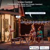 BARST Outdoor Smart Plug, WiFi Smart Plug with Two Grounded
