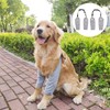 Taicols Dog Recovery Sleeve Front Leg Elbow Protector Support Elbow