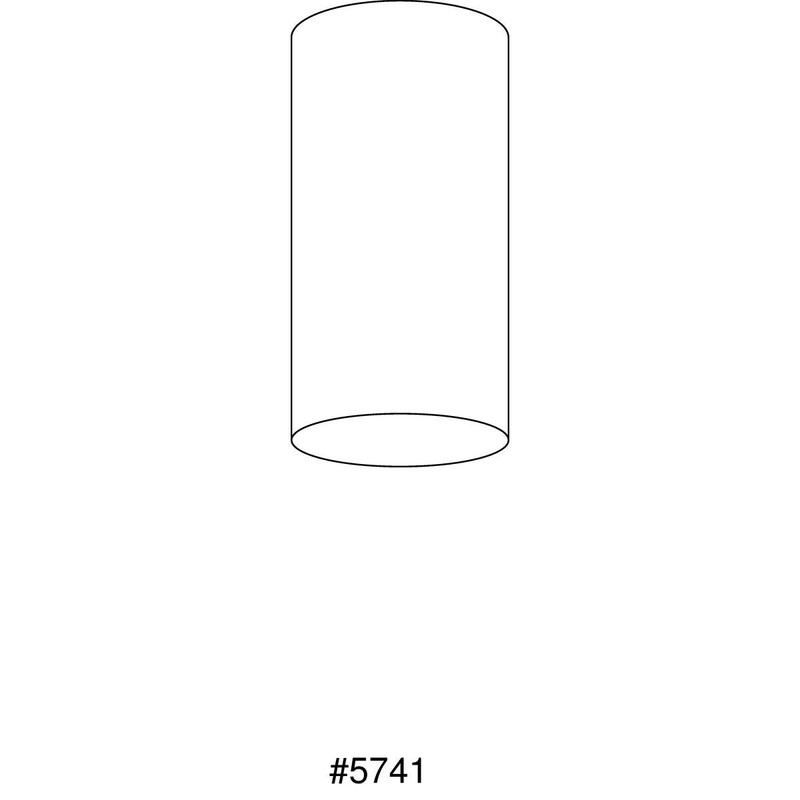 Progress Lighting 6-Inch Cylinder Outdoor Ceiling Light, 1-Light Modern Flush