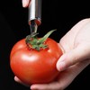 Stainless Steel Strawberry Huller and Tomato Stem Corer Tool,Portable Fruit