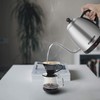 Stariver Electric Kettle Gooseneck Kettle, 1L Water Boiler, BPA-Free, Pour