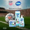 Dial Body Wash, Advanced Clean Gold, 16 Fl Oz, Pack