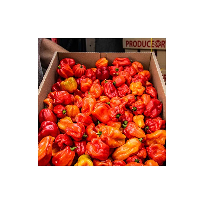 Chilli Mash Company Habanero Chilli Jam, 190 g