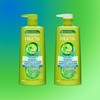 Garnier Fructis Normal Strength & Shine Shampoo For Normal Hair