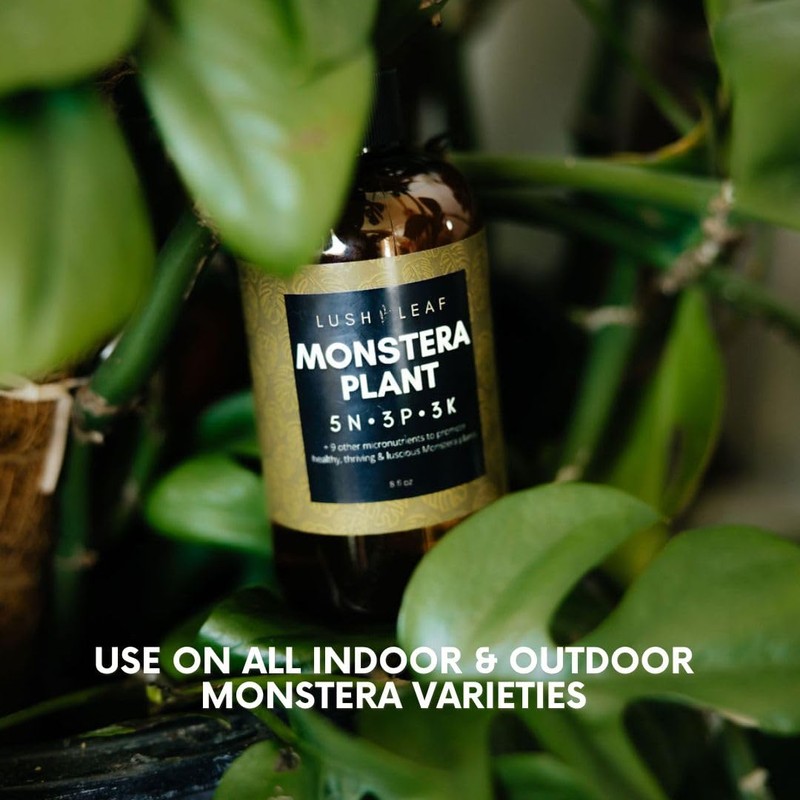 Lush Leaf | Plant Food (Monstera)