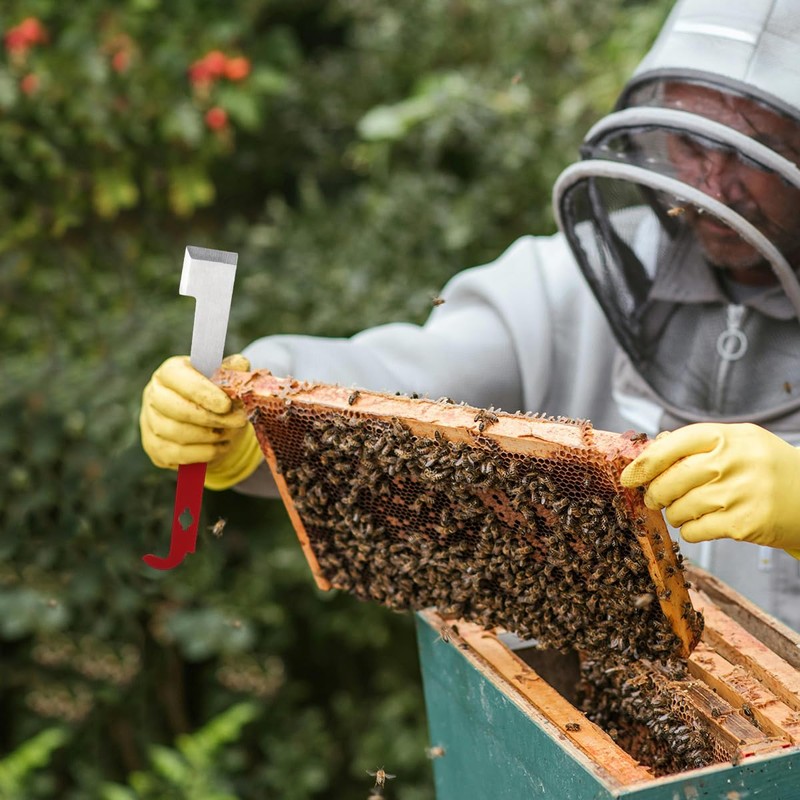 Tenalleys Stainless Steel Beekeeping Hive Tool Frame Lifter and Scraper