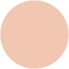 KISSME FERME Cover And Bright Skin Powder Foundation 10 Pink