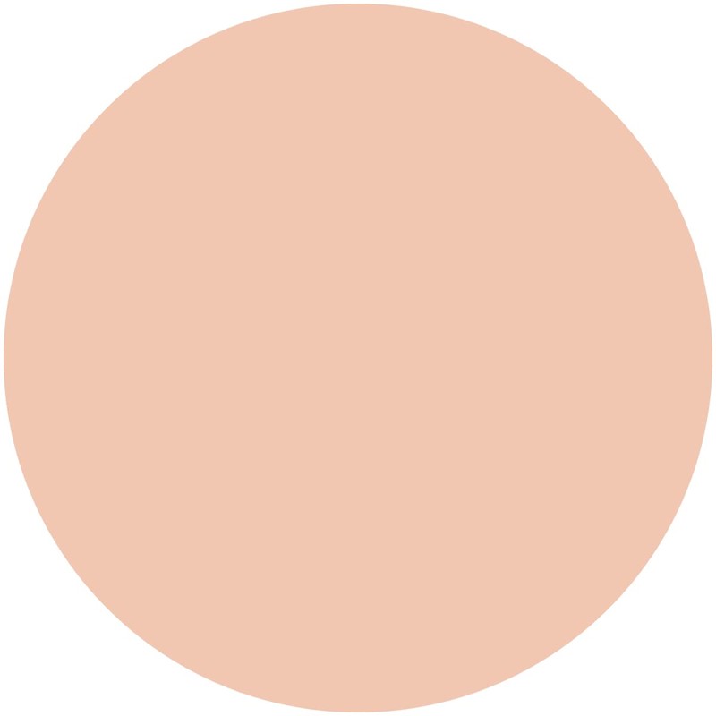 KISSME FERME Cover And Bright Skin Powder Foundation 10 Pink