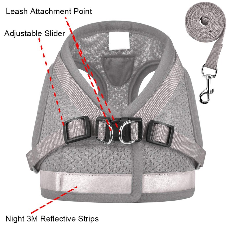 GAUTERF Kitten and Puppy Universal Harness with Leash Set, Escape