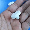 BASE WAVE 1'' Ceramic Coral Frag Plugs (10-Pack) for Coral