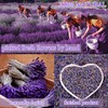 20 Bags Dried Flowers,100% Natural Dried Flowers Herbs Kit for