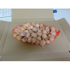 Garlic, 17.6 oz (500 g), Rose Garlic from Aomori Prefecture