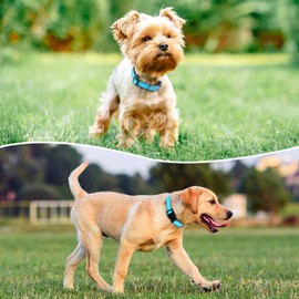 PenSeepet Reflective Dog Collar Padded with Soft Neoprene Breathable Quick Release Basic Dog Collars for Large Dogs Sky Blue Boy