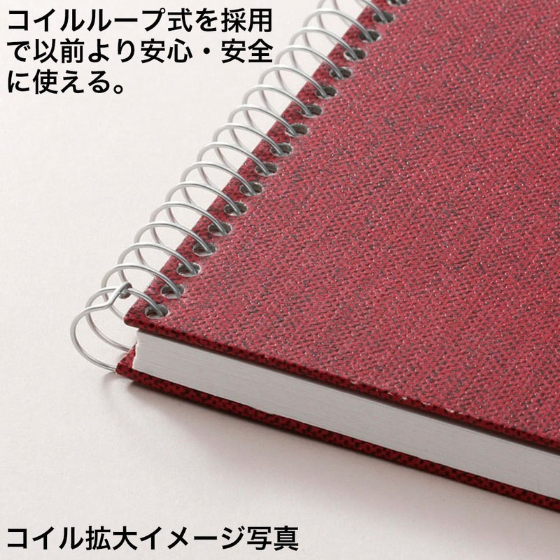 マルマン スケッチブック アーチストメダリオン F0 レッド S50A-01