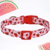 Dog Collars with Buckle Adjustable for Cute Female Boy Dogs,Special