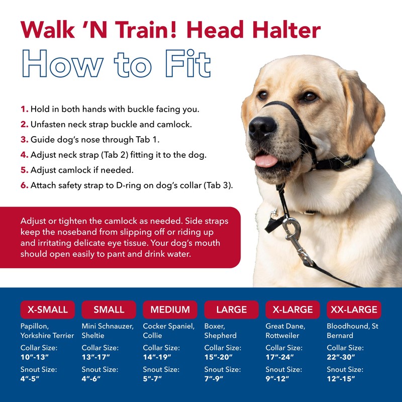 Coastal Walk'n Train Cabeza Halter, Negro, Mediano