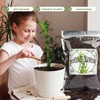 Doter Premium Lucky bamboo Soil Mix 2qt, Indoor Plants Potting