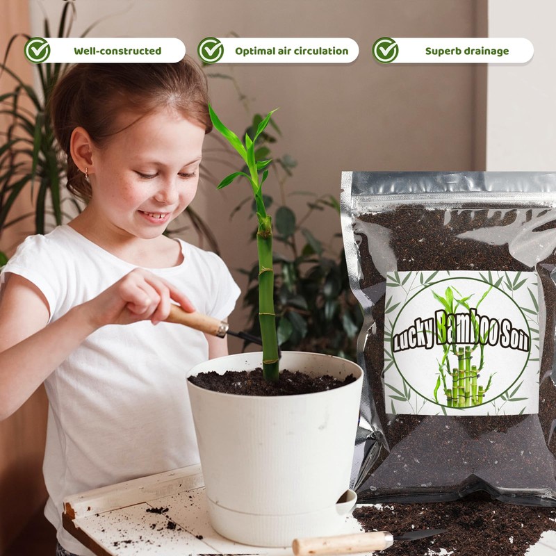 Doter Premium Lucky bamboo Soil Mix 2qt, Indoor Plants Potting