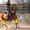 2Pcs Horse Tendon Boots Open Front Adjustable Breathable Horse Front