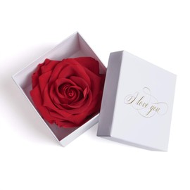 Infinity Rose Preserved Rose Box I Love You Gift for Women, white-red