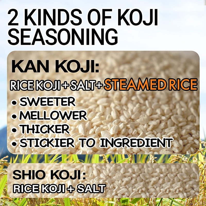 YAMASAN KYOTO UJI Koji Paste, Kan Koji, Japanese Traditional All-Purpose