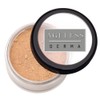 Ageless Derma Mineral Face Powder Foundation Makeup. Natural Full Coverage