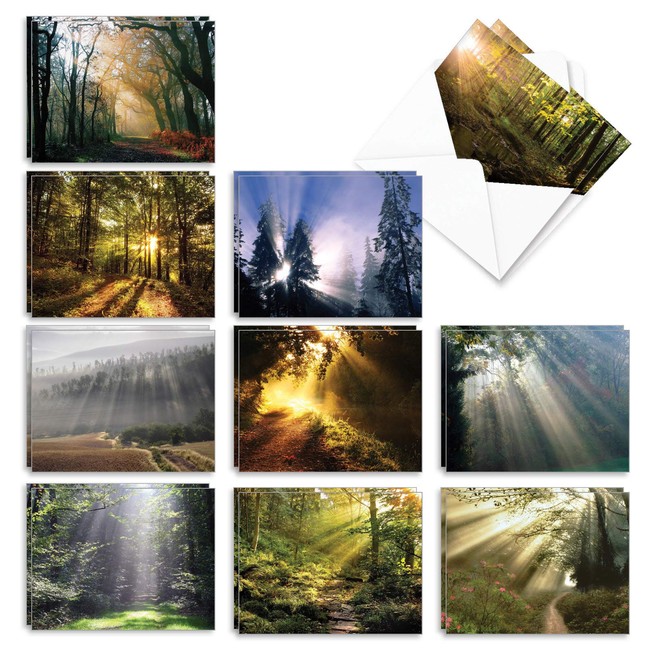 The Best Card Company - 20 Landscape Nature Note Cards Blank (4 x 5.12 Inch) (10 Designs, 2 Each) - Shining Through AM1735OCB-B2x10