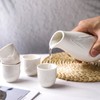 5 Pieces Japanese Sake Set,Ceramic Sake Set with 1 Tokkuri
