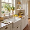 Singhoow 4 Pcs Lemon Kitchen Decor Ceramic Soap Dispenser Set