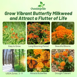 Outsidepride Butterfly Milkweed Seeds - 1000 Pcs Perennial, Heat & Humid Tolerant, Pollinator-Friendly Wildflower Seeds, Ideal for Monarch Butterflies, Cut Flowers, Borders, or Meadows