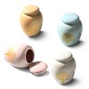 4pcs Small Urns For Human Ashes, Mini Cremation Urn, Decoration