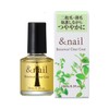 Nails Botanical Clearcoat Nail Cracked Nails, 2 Claws, Thin Claws,