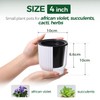 T4U 4 Inch Plant Pots Self Watering, 6 Pack African
