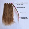 Color 27 Honey Blonde Pre Looped Boho Box Crochet Braids