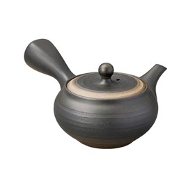 Ale-net Teapot Pot, 6.5 x 5.3 x 3.5 inches (16.5 x 13.5 x 9 cm), 9.5 fl oz (280 cc), Black Blown Grilled Flat Teapot (Refreshing Net), Ceramic (Earth), Tokoname Yaki, Made in Japan