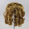 Drasawee Pet Supplies -Dog Costumes Queen Style Pet Dog Wigs-gift
