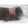 DDFS Cat Ear Wrap (2 Pack), Keep Calm Head Cover