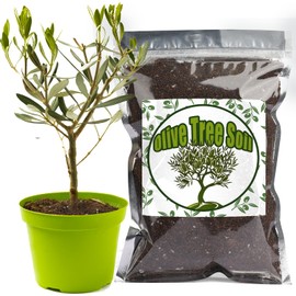 Doter Premium Olive Tree Potting Mix 2qt, Uesed for The Propagation of Olive Trees by Cuttings or Seeds, Suitable for Planting, Repotting, and Growing Houseplant